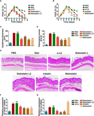 Tick cysteine protease inhibitors suppress immune responses in mannan-induced psoriasis-like inflammation